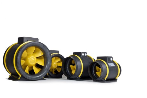 16842