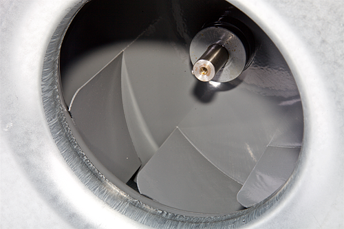17698